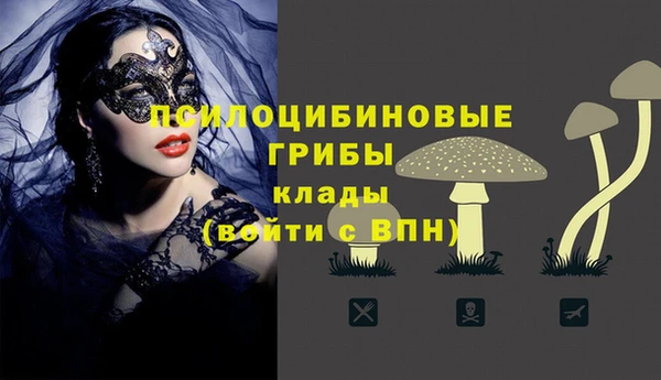 экстази Покачи