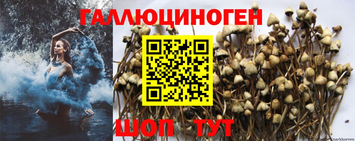 Псилоцибиновые грибы мухоморы  Вход с VPN  Карталы 